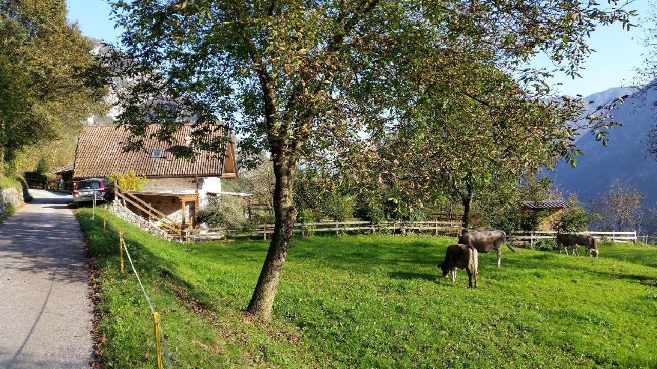 Chalet La Nos モリーナ・ディ・レードロ 部屋 写真
